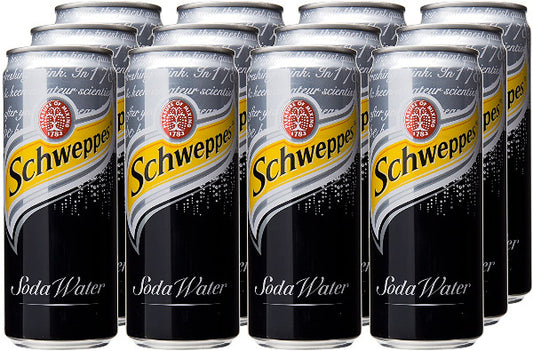 Schweppes Soda Water (320ml)